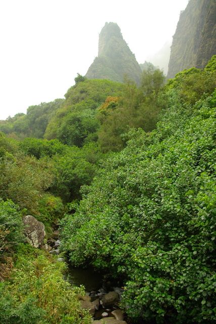 Iao Valley Excursion
